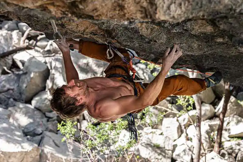 Mammut günstig kaufen - naturzeit Online Shop Mammut günstig kaufen - naturzeit Online Shop